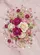 duiyfppz/products/6a33c1cb8f320a21b7814d0b/gallery/hl8WWtRDkK