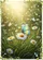 duiyfppz/products/6a33d18a359f64c30b8d2aaa/gallery/VOO9YBI7E3