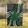 Emerald Green Cannabis Leaves White Stars Stripes - Patriotic Cannabis Enthusiast Home Decor Gift Garden Flag - 1