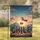 Chile Cityscape Letters Flag Andes Mountains - Home Decor Gift for Chile Lover Garden Flag - 1
