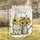 duiyfppz/products/6a3423b0359f643cab8d7ef6/gallery/3NrTXqe4Zm