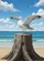 duiyfppz/products/6a3426c2d9909c64614f5101/gallery/v_dmHfoaiM