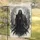Skeletal Figure Owl Skull Gnarled Tree Fog - Ethereal Home Decor Gift Garden Flag - 5