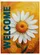 Bold White Daisy Welcome Text Golden Orange Yellow - Entryway Home Decor Garden Flag - 6