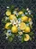 duiyfppz/products/6a34ba9bfe4781459b07f899/gallery/9HZ6M2jW3q