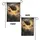 duiyfppz/products/6a34cafd303aad61431d9828/gallery/3Lm9M8OCtH