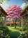 duiyfppz/products/6a34cd99303aad125a1d9b0a/gallery/AXpm4wTd2N