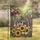 duiyfppz/products/6a34ee3cf7cd6708c9bd3c3b/gallery/9iXQHSfy4K