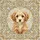 duiyfppz/products/6a351321f5b8392d471c7f65/gallery/Shcqd-cxOD