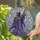 duiyfppz/products/6a3513359b1bb357914854f0/gallery/oWzUaU5B89