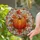 duiyfppz/products/6a35151d99428965b0d8b2e6/gallery/GFOsOtEol-