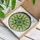 duiyfppz/products/6a3515df8780fb3bd2f8490c/gallery/sffDnU7o6f
