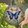 duiyfppz/products/6a351675f7cd679011bd724b/gallery/P5FiPAQux8