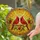 duiyfppz/products/6a351687c1c420d9fb6e827d/gallery/yqo5OQUYIE