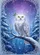 duiyfppz/products/6a3516916a9224c33d2ed6df/gallery/1uOE_Y7VRL