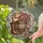 duiyfppz/products/6a35169d8780fbe102f84b37/gallery/0X2qMlwiON