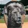 duiyfppz/products/6a351ae907c73548cd151718/gallery/ecGNxjd44_