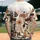 duiyfppz/products/6a351b07353b783121507a1c/gallery/aWZLiA2rV5