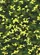 duiyfppz/products/6a351bcbbc8505fe7259ea2c/gallery/9cJqVNC-bz