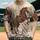duiyfppz/products/6a351fb0431897423fc9a063/gallery/8i7vZocMO5