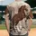 duiyfppz/products/6a351fb0431897423fc9a063/gallery/rljMwHRO7Q