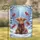 duiyfppz/products/6a35275b9b1bb34112487a24/gallery/GUGeRuqz7W