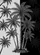 duiyfppz/products/6a352811f5b839772d1ca0a6/gallery/VqXqrk8auQ