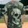 duiyfppz/products/6a352a72431897c898c9af5d/gallery/eUiglipPJO