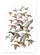 duiyfppz/products/6a353920431897519ec9c005/gallery/bmASTw1-wo