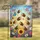 duiyfppz/products/6a355c600725d801074adeed/gallery/gqE0-EllZu