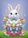 duiyfppz/products/6a3567560725d82cc94aeaa3/gallery/jVEPpt6rs5