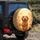 Golden Retriever Autumn Leaves - Autumn Decor Gift for Golden Retriever Lover Spare Tire Cover - 4