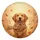 Golden Retriever Autumn Leaves - Autumn Decor Gift for Golden Retriever Lover Spare Tire Cover - 2