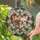 duiyfppz/products/6a38a3d122600180240e529c/gallery/MnDGx0PAk0