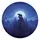 Bear Forest Moon Mountain - Outdoor Adventure Gift Spare Tire Cover - 2
