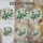 duiyfppz/products/6a38aa8959aa8724bd80dc4b/gallery/vc0DMOHneY