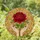 duiyfppz/products/6a38aa9afed3db22e3ec0e12/gallery/-y35IsZNKs