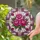 duiyfppz/products/6a38ab337673099489f227a0/gallery/V96Zq23S2f