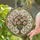 duiyfppz/products/6a38ab42d3006411cf06988f/gallery/49e0TQgvr3