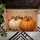 Vibrant Orange Cream Pumpkins Autumn Leaves Wooden Background - Rustic Fall Decor Doormat - 6