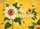 HELLO Sunshine Sunflower Bee Meadow Flowers - Rustic Farmhouse Decor Gift Doormat - 7
