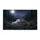 Wolf Family Forest Moonlit Night - Wildlife Lover Home Decor Gift Doormat - 3