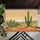 Desert Cacti Dunes Landscape Yellow Flowers - Home Decor Gift Doormat - 6