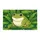 Friendly Green Cartoon Frog Lily Pad Wildflower Pond - Wildlife Garden Home Decor Gift Doormat - 3
