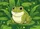 Friendly Green Cartoon Frog Lily Pad Wildflower Pond - Wildlife Garden Home Decor Gift Doormat - 7