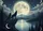 Two Wolves Howling Full Moon Pine Forest - Wildlife Lover Gift Doormat - 7