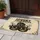Spooky Farmhouse Haunted Barn Jack-o'-Lanterns Bats - Halloween Decor Doormat - 5