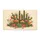 Cacti Succulent Desert Flora Scene - Home Decor Gift Doormat - 3