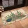 Flowering Cacti Succulents Desert Plants Garden Landscape - Home Decor Gift for Garden Lover Doormat - 4