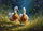 White Golden Orange Ducks Marsh Reeds - Nature Inspired Home Decor Gift Doormat - 7